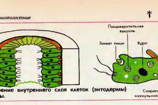 Блэкспрут 2fa bs2webes net