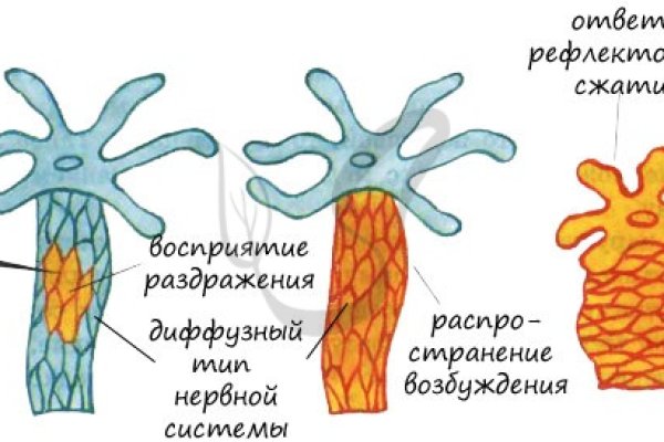 Блэкспрут маркетплейс