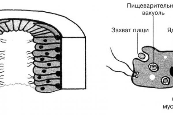 Блекспрут тор blacksprut cam